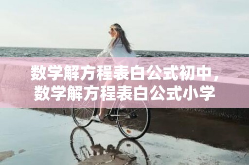 数学解方程表白公式初中，数学解方程表白公式小学
