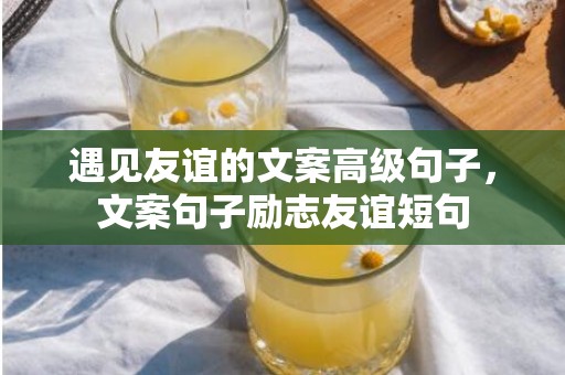 遇见友谊的文案高级句子，文案句子励志友谊短句