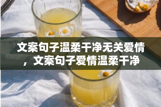 文案句子温柔干净无关爱情，文案句子爱情温柔干净