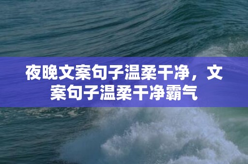 夜晚文案句子温柔干净，文案句子温柔干净霸气