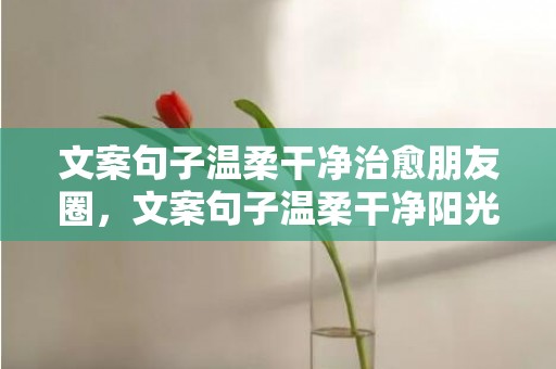 文案句子温柔干净治愈朋友圈，文案句子温柔干净阳光