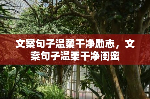 文案句子温柔干净励志，文案句子温柔干净闺蜜