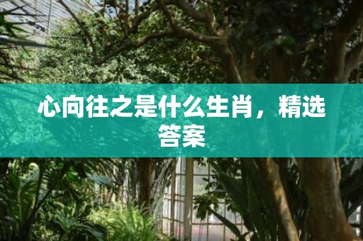 心向往之是什么生肖，精选答案