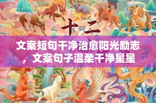 文案短句干净治愈阳光励志，文案句子温柔干净星星