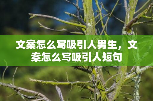文案怎么写吸引人男生，文案怎么写吸引人短句