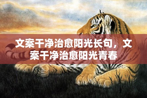 文案干净治愈阳光长句，文案干净治愈阳光青春