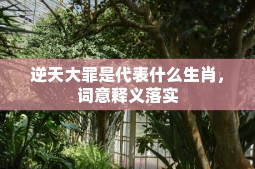 逆天大罪是代表什么生肖，词意释义落实