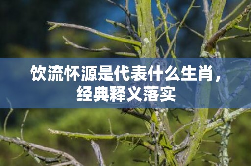 饮流怀源是代表什么生肖，经典释义落实