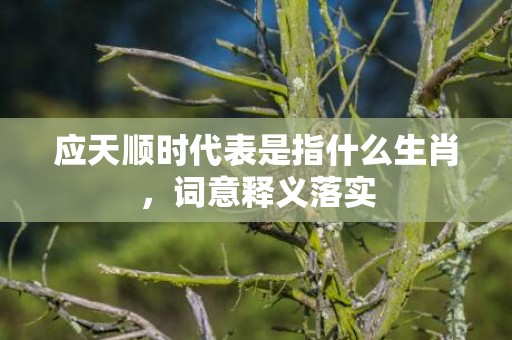 应天顺时代表是指什么生肖，词意释义落实