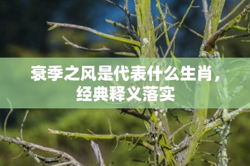 衰季之风是代表什么生肖，经典释义落实