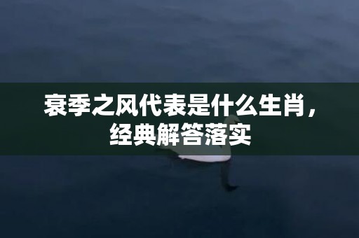 衰季之风代表是什么生肖，经典解答落实