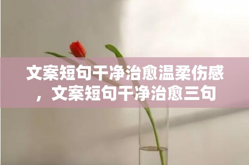 文案短句干净治愈温柔伤感，文案短句干净治愈三句