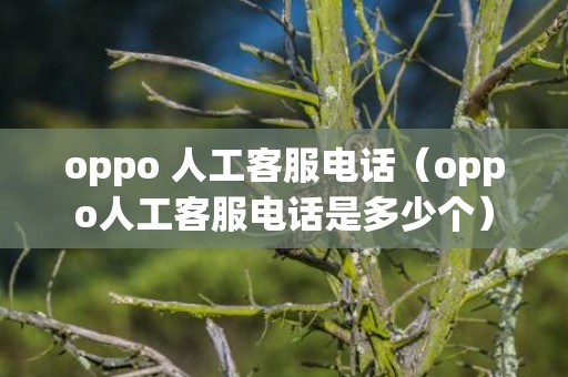 oppo 人工客服电话（oppo人工客服电话是多少个）