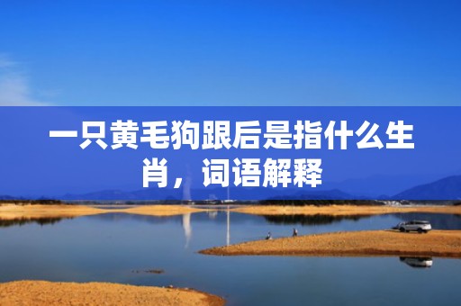 一只黄毛狗跟后是指什么生肖，词语解释