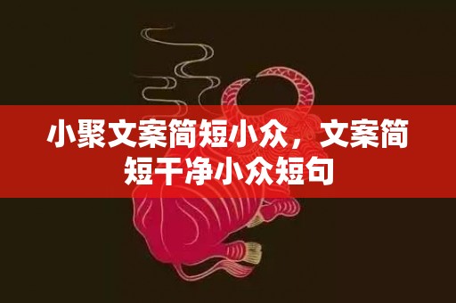 小聚文案简短小众，文案简短干净小众短句