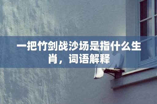 一把竹剑战沙场是指什么生肖，词语解释