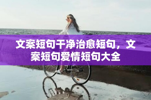 文案短句干净治愈短句，文案短句爱情短句大全