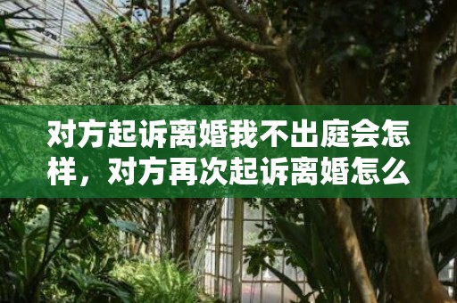 对方起诉离婚我不出庭会怎样，对方再次起诉离婚怎么应对（再次起诉离婚要多长时间）