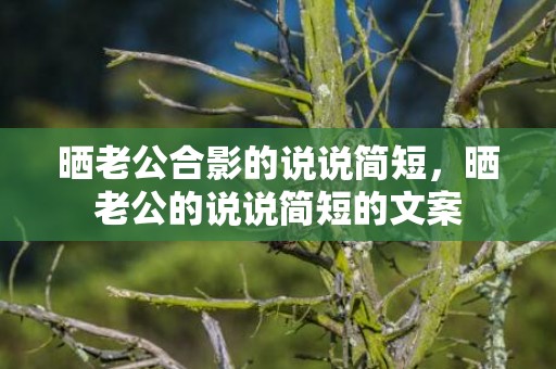 晒老公合影的说说简短，晒老公的说说简短的文案