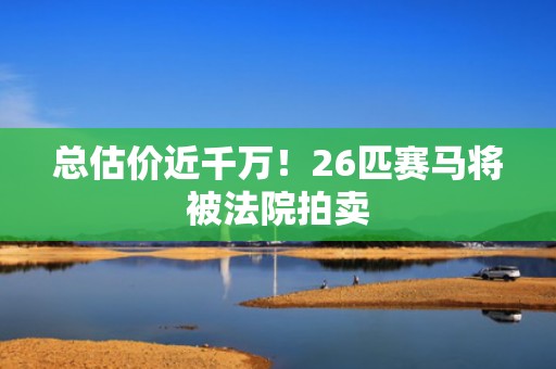总估价近千万！26匹赛马将被法院拍卖