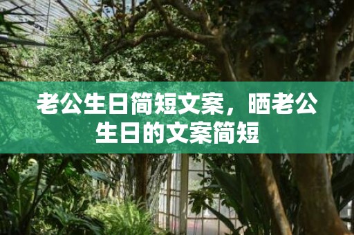 老公生日简短文案，晒老公生日的文案简短