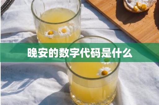 晚安的数字代码是什么