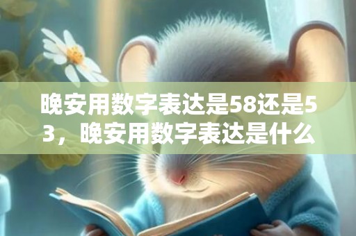 晚安用数字表达是58还是53，晚安用数字表达是什么