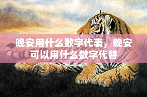 晚安用什么数字代表，晚安可以用什么数字代替