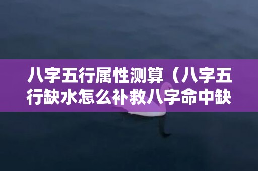 八字五行属性测算（八字五行缺水怎么补救八字命中缺水怎么补）