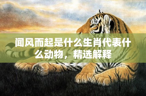闻风而起是什么生肖代表什么动物，精选解释