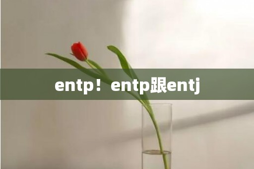 entp！entp跟entj