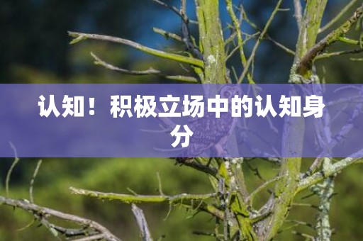 认知！积极立场中的认知身分