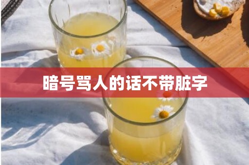 暗号骂人的话不带脏字