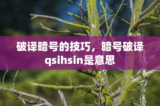 破译暗号的技巧，暗号破译qsihsin是意思