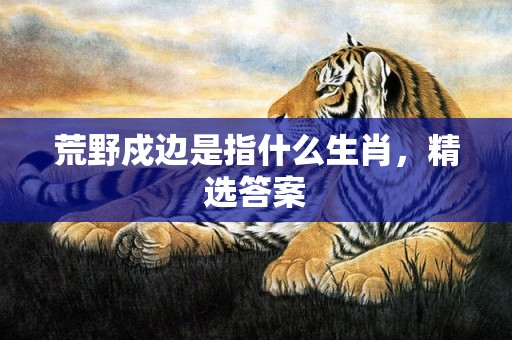 荒野戍边是指什么生肖，精选答案