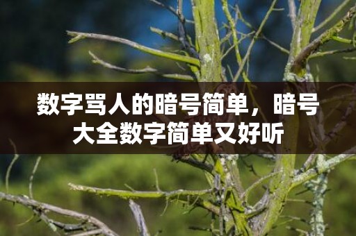 数字骂人的暗号简单，暗号大全数字简单又好听