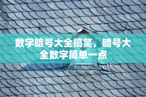 数字暗号大全搞笑，暗号大全数字简单一点