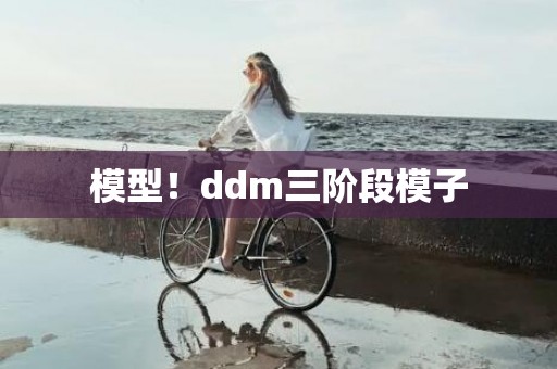 模型！ddm三阶段模子