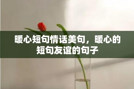 暖心短句情话美句，暖心的短句友谊的句子
