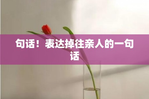 句话！表达掉往亲人的一句话