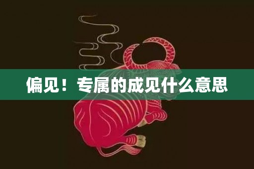偏见！专属的成见什么意思