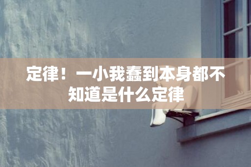 定律！一小我蠢到本身都不知道是什么定律
