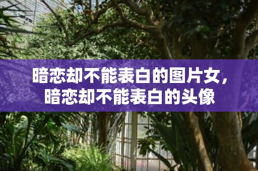暗恋却不能表白的图片女，暗恋却不能表白的头像