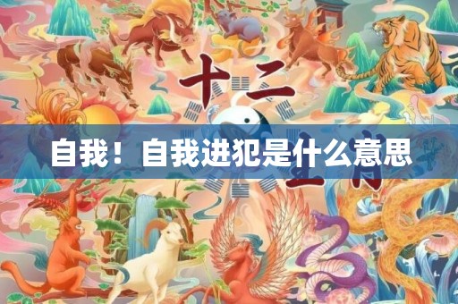 自我！自我进犯是什么意思