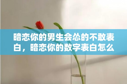 暗恋你的男生会怂的不敢表白，暗恋你的数字表白怎么说