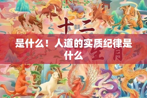 是什么！人道的实质纪律是什么