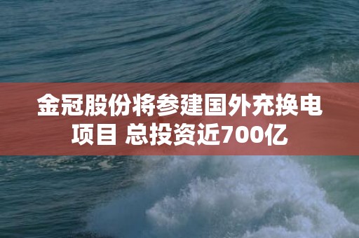 金冠股份将参建国外充换电项目 总投资近700亿