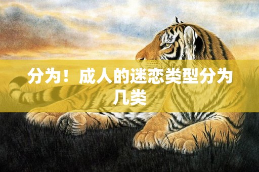 分为！成人的迷恋类型分为几类