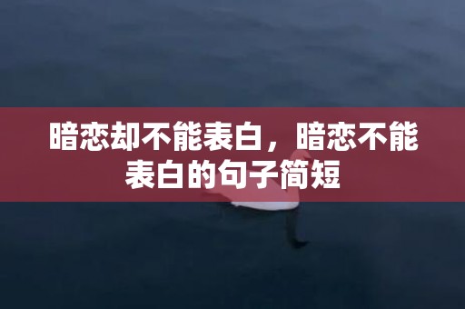 暗恋却不能表白，暗恋不能表白的句子简短