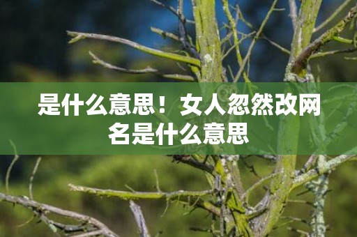 是什么意思！女人忽然改网名是什么意思